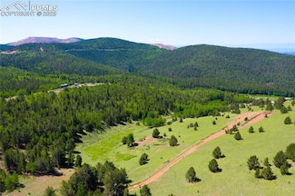 0 Unknown Rd Unit 1756356, Cripple Creek, CO 80813