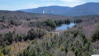 0 Ford Hill Rd Unit 156788, Jewett, NY 12442