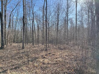 2044 Brodies Landing Rd, Parsons, TN 38363