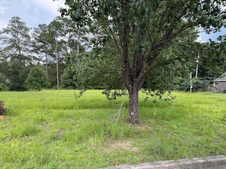 20 W Lakeview Dr, Columbia, MS 39429