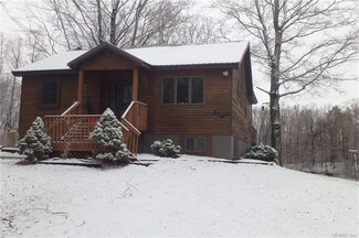 536 Victory Rd, Red Creek, NY 13143