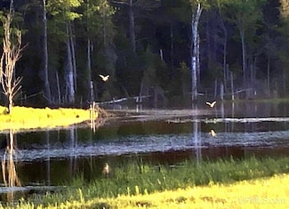 Multiple Lots Highland Estates, Negaunee, MI 49866