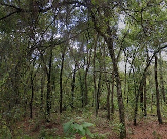0 Posen St, Moon Lake, FL 34654