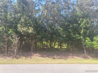 399 W Massachusetts St, Citrus Hills, FL 34442