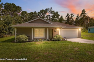11034 Flock Ave, Weeki Wachee, FL 34613