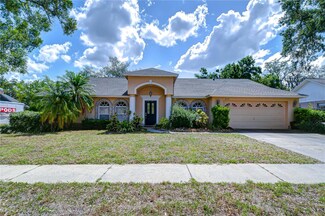 2117 Laindale Place, Valrico, FL 33596