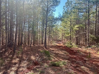 5-/+ Patriot Trail, Dahlonega, GA 30533