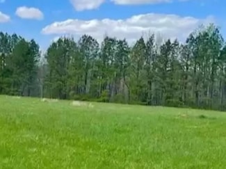 844 Co Rd 503, Hanceville, AL 35077