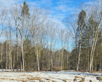 3 Blaisdell's Trail, Raymond, NH 03077