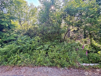 285 xx Z St, Ocean Park, WA 98640