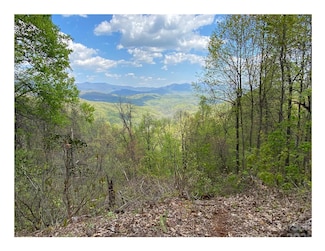 1029 Kestrel Ln Unit T-72, Black Mountain, NC 28711