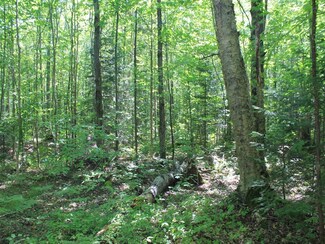 Lot 37 Alpine Dr, Hurley, WI 54565