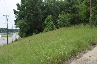 #1 Main St, Minden, LA 71055