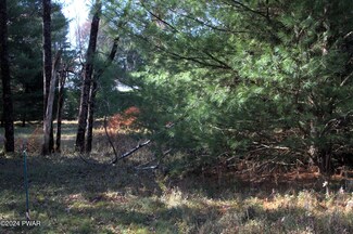 Lot 28 Meadows Ct, Palmyra Township, PA 18428