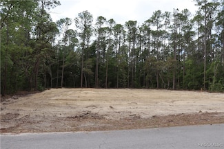 1188 W Tacoma St, Hernando, FL 34442