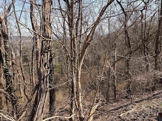 TBD Buckhannon Ave, Morgantown, WV 26501