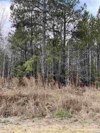 TBD County Road S-45-559, Andrews, SC 29510