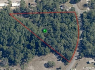 6154 S Lewdingar Dr, Homosassa Springs, FL 34446