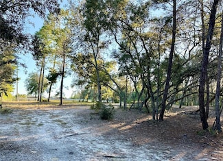 401 Dumbarton Ave, Pomona Park, FL 32181