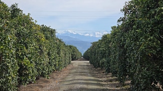 10175 S Anchor Ave, Dinuba, CA 93618