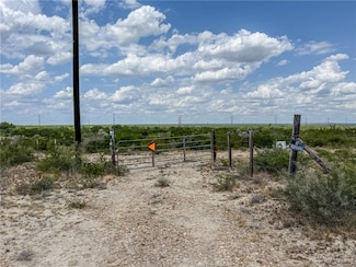 Lot 9 Farm To Market 3167, Rio Grande City, TX 78582