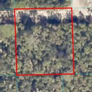 0 NE 233rd Ln, Fort Mc Coy, FL 32134