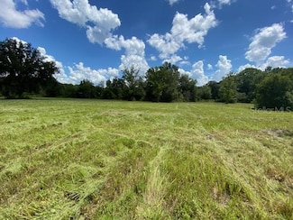 0 Mandrake Rd Unit MFRTB8332055, Wesley Chapel, FL 33543