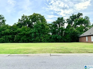 247 Creekside Ln Unit 196, Indian Springs Village, AL 35124
