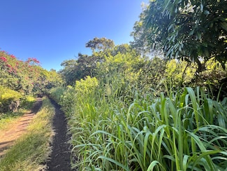 0 Palaoa Rd Unit 715244, Naalehu, HI 96772
