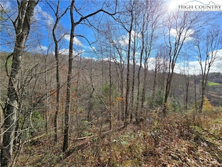 Lot 24 & 25 Riverstone, Laurel Springs, NC 28644