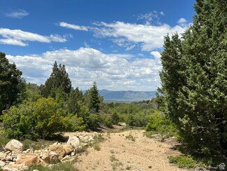 1050 Meadow Rd Unit 156157, Mount Pleasant, UT 84647