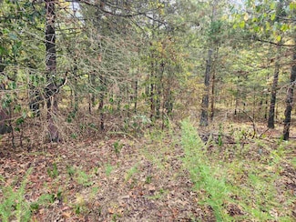 L24B3 Bokchito Dr, Cherokee Village, AR 72529