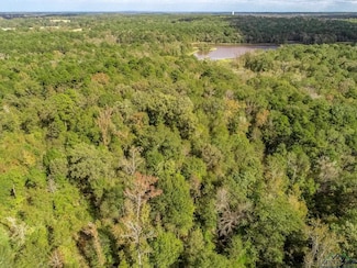 13.3 AC Myrtlewood Trail, Gilmer, TX 75645