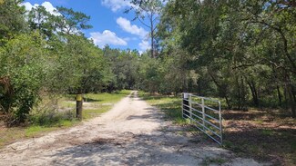 #1 (10.50ac) NE 150th Avenue Rd, Fort Mc Coy, FL 32134