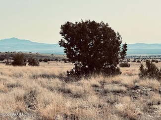 90b Volcano Trail, Ash Fork, AZ 86320