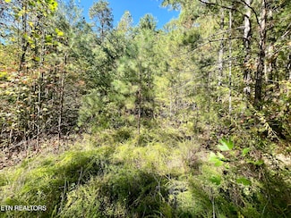 Parcel 20 Creek Hollow Way, Sevierville, TN 37876