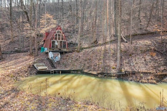 40 acres Little Wills Valley Rd, Attalla, AL 35954