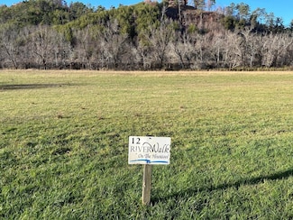 Lot 12 Harshaw Farm Dr, Murphy, NC 28906