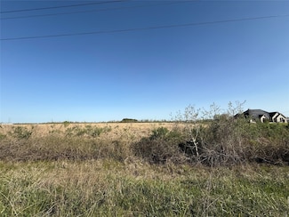 0 County Road 62 Unit 14077222, Rosharon, TX 77583