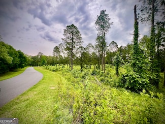 0 Walke Dairy Rd Unit 10523511, Dublin, GA 31021