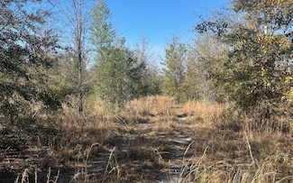0 SW Cr 141 Unit 126603, Jasper, FL 32052