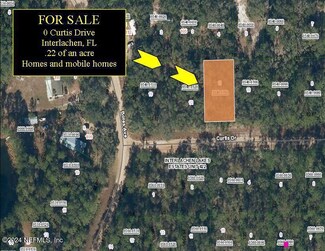 0 Curtis Dr Unit 1261402, Interlachen, FL 32148