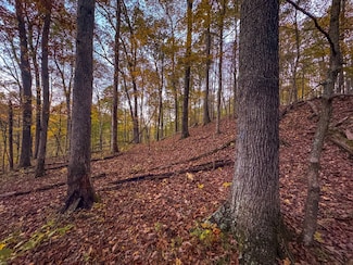 0 Off of Road 7 Unit 11600868, Leroy, WV 25252