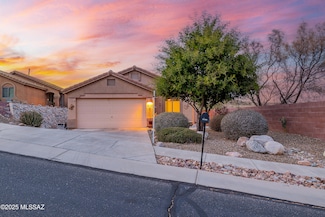 61080 E Halter Place, Tucson, AZ 85739