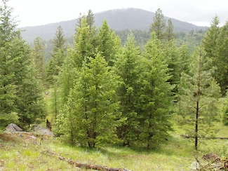 0 XXX Turner Lake Rd N, Tonasket, WA 98855