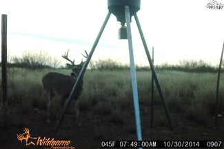 1460 Mayfield Rd, Quanah, TX 79252