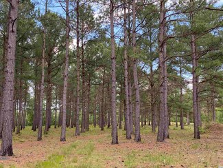 Lot 5 Woodrow Ln Unit BELLAND CT., Loris, SC 29569
