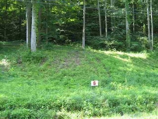 Lot #6 Short White Oak Rd, Flatwoods, KY 41139