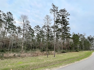 TBD6 Lily Bean, Montgomery, TX 77316