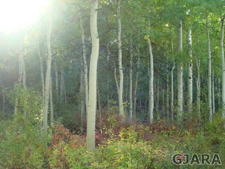 15264 Harrison Creek Rd, Collbran, CO 81624
